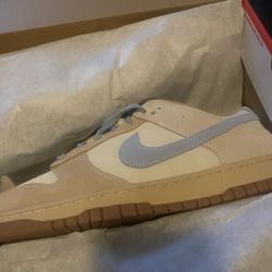 Nike Dunks Brand New