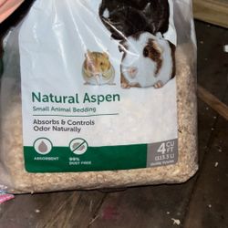 Animal Bedding 