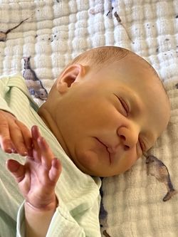 Reborn dolls