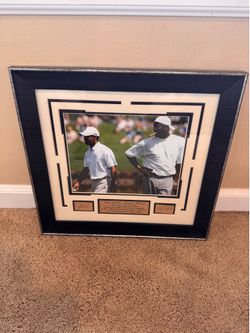Tiger Woods and Michael Jordan