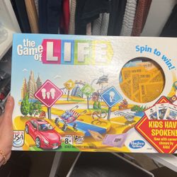 Board Game- The Game Of Life