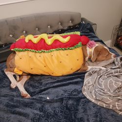 Hotdog Dog Costume 