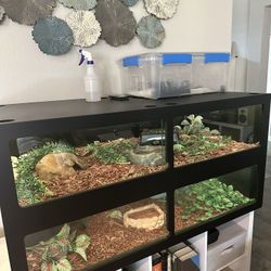 2 PVC reptile enclosures w/ LED, Heating Panel and thermostat 