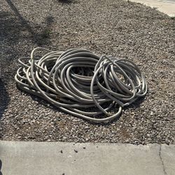 Hose
