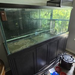 125 Gallon Aquarium / FX4 Canister Filter 