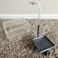 Automatic Egg Catching System