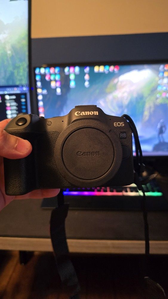 Canon R8 with 3 lenses