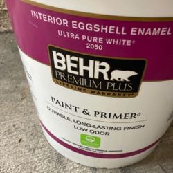5  Gallon Eggshell Paint Ultra Pure White