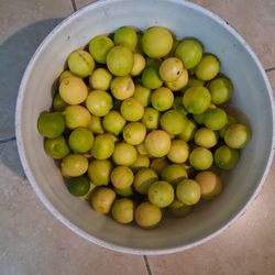 Juicy Ripened Organic Key Limes