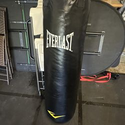 Everlasting Heavy bag / Punching Bag (filled)