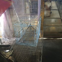Large cage, middle cage and a big medium.$20