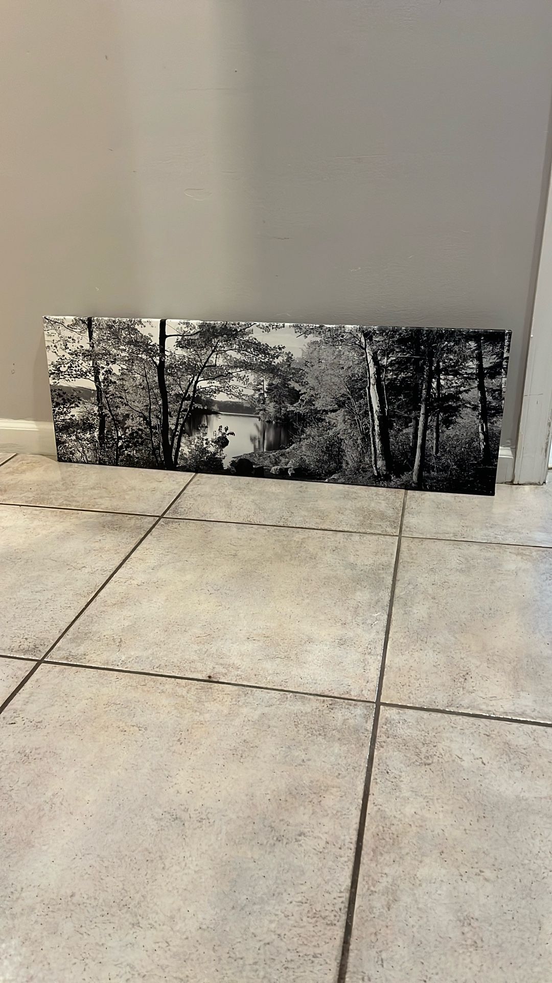 Lake sacandaga Canvas Print