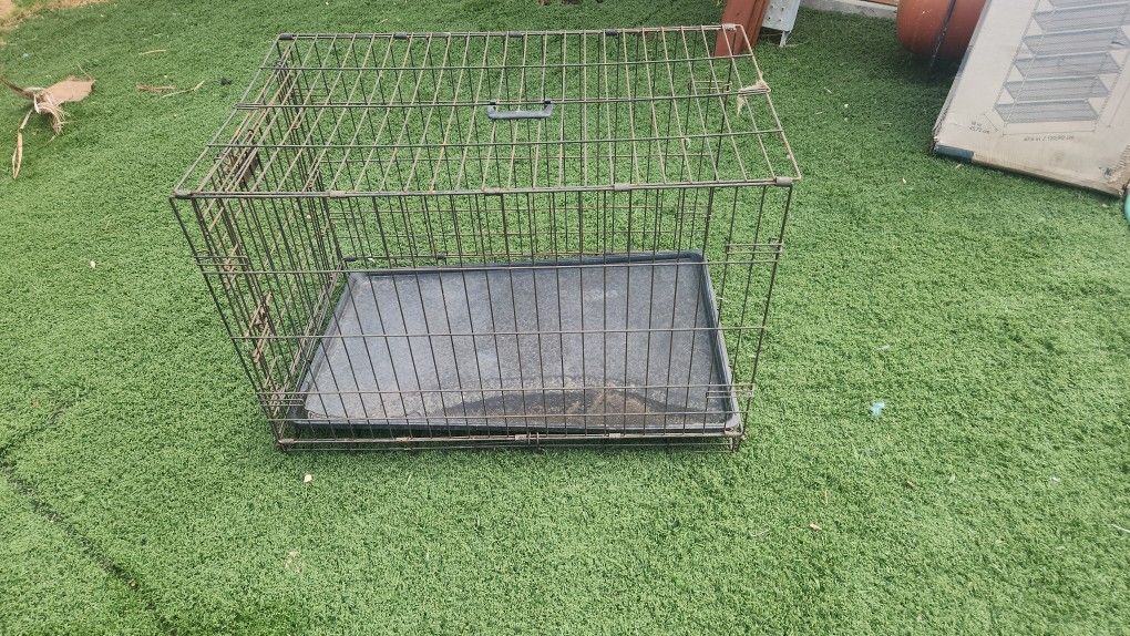 Large Dog Kennel 