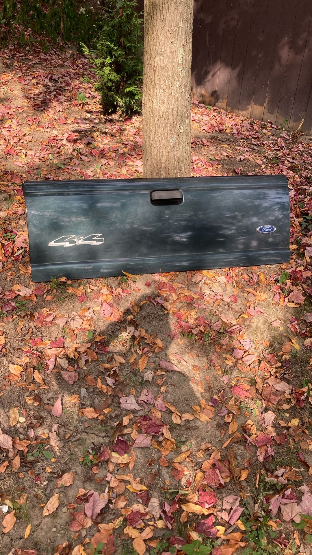 2004 Ford Ranger Tail Gate