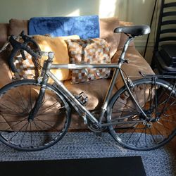 Litespeed 2015 Titanium Body T5 Gravel