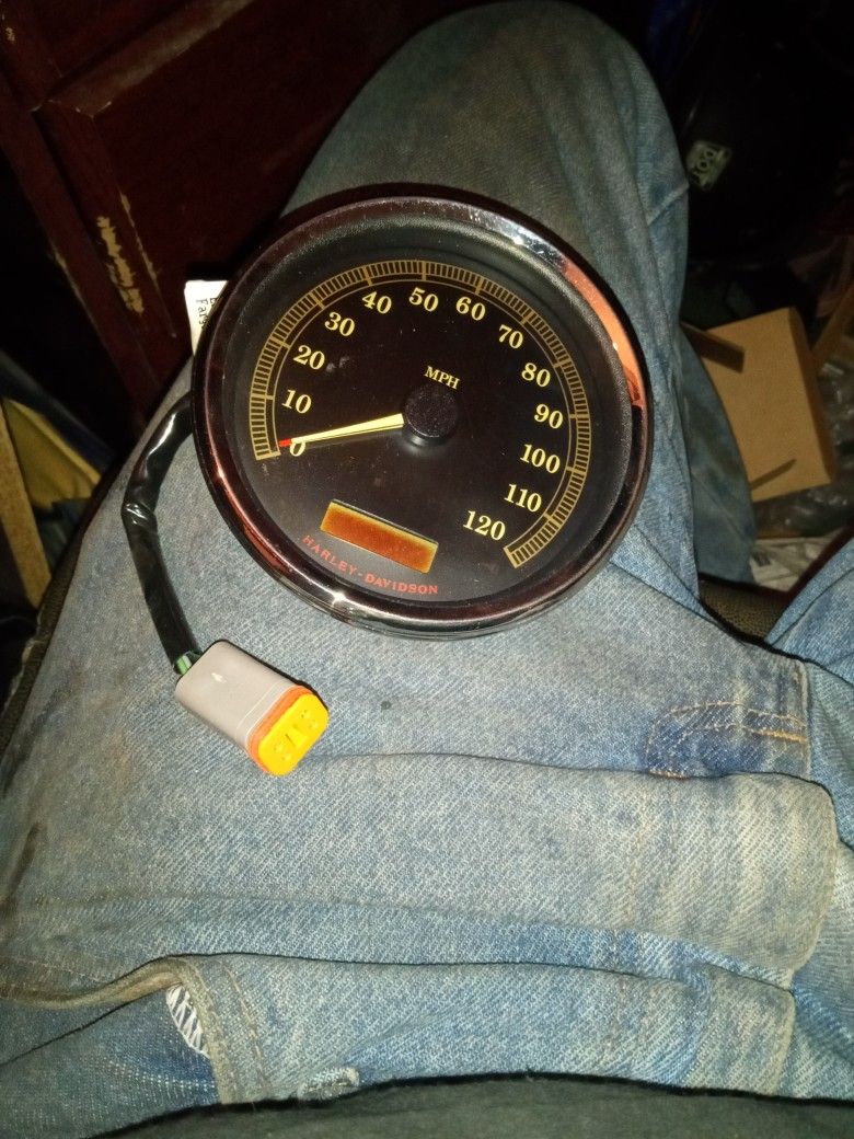 Harley Davidson Odometer