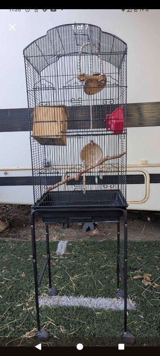 Large, Bird Cage