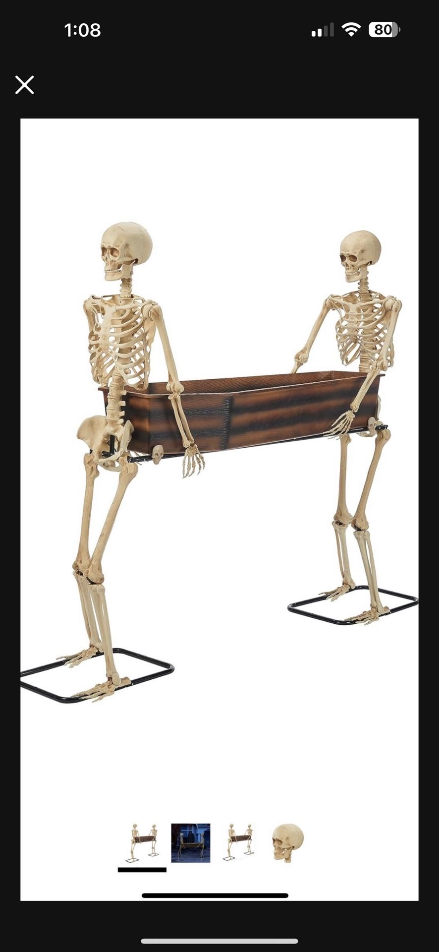 Cooler Halloween Skeleton Brand New In Box