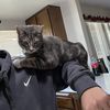 Nano