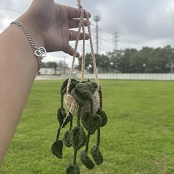 Crochet Plant Hanger