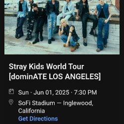 2 TIX June 1st Stray Kids SOFI C222 ROW 18