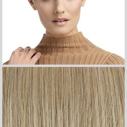 Raquel Welch Wig Hairpiece, Advanced French, Rl16/88 by Hairuwear