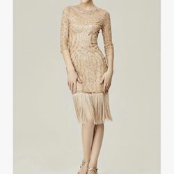 Sequin Beaded Dress F ringe Dress with Sleeves