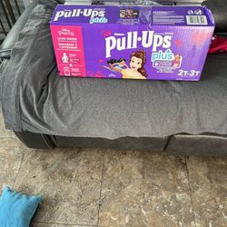 Princess Pull Ups 