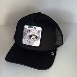 Goorin Bros Snapback Hat 🧢