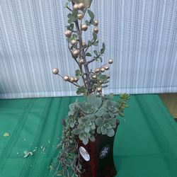 Multi Succulent Arrangement!