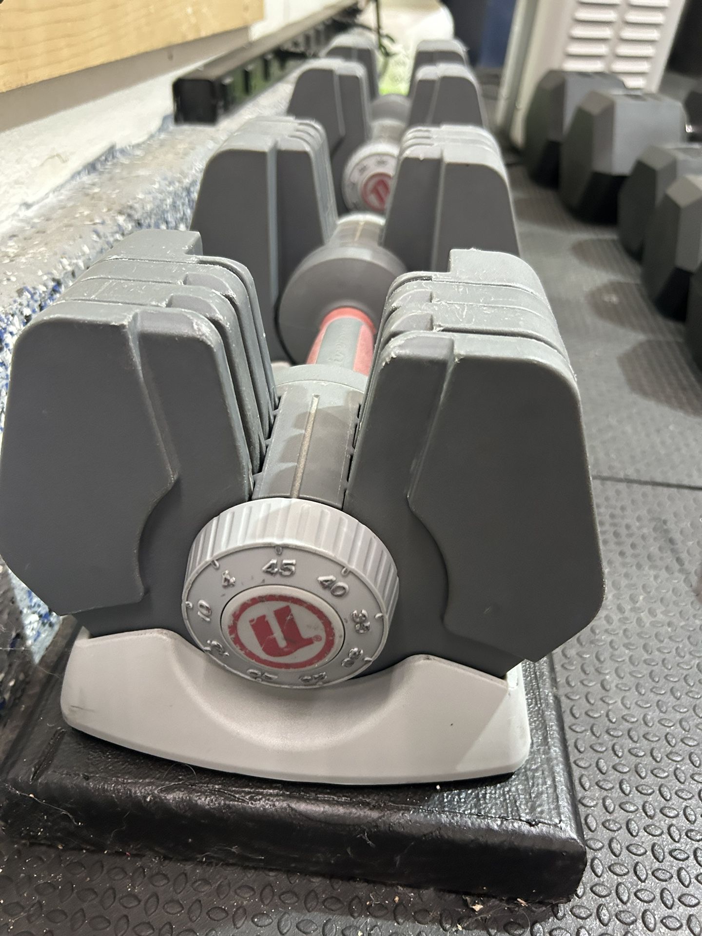45lb Adjustable Dumbbells (set of 2)