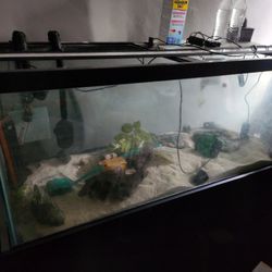 Pecera De 75 Gallon
