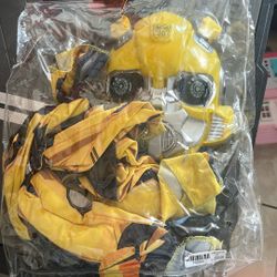 Bumblebee Costume