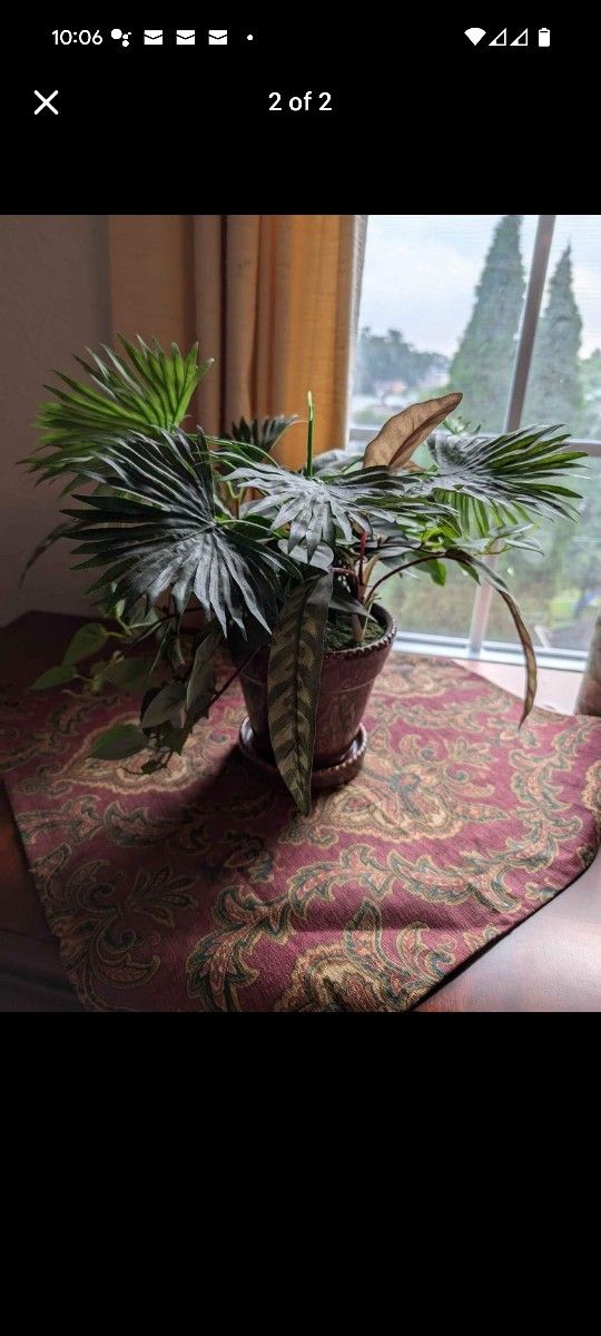 Artificial Potted Plants