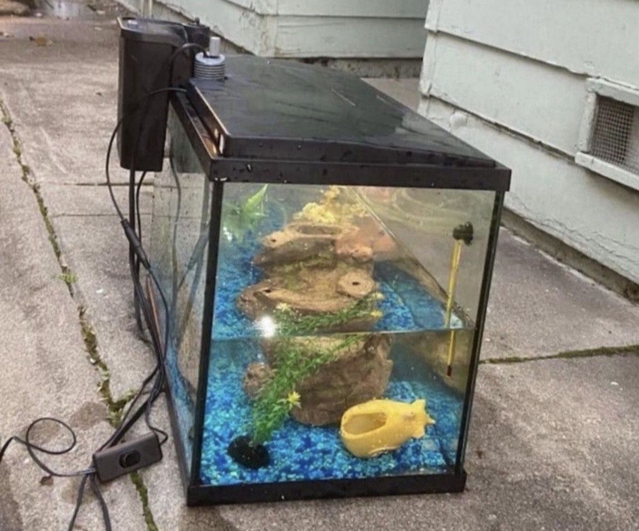10 Gallon Fish Tank
