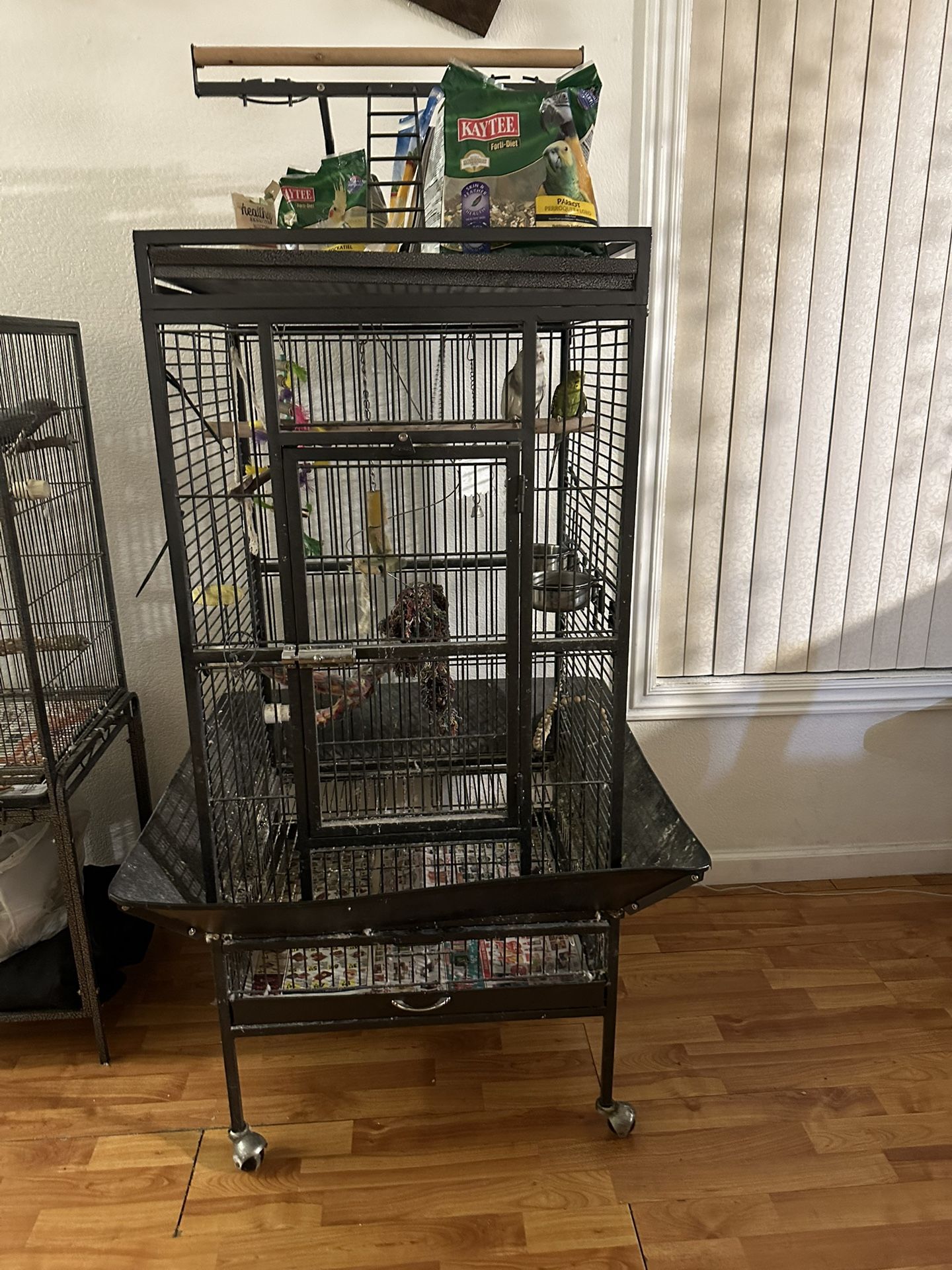 Bird Cage For Sale