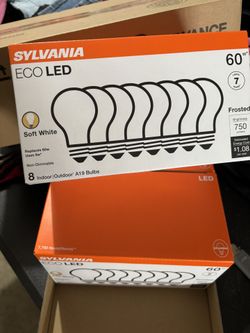 Led Light Bulbs 8count  $5