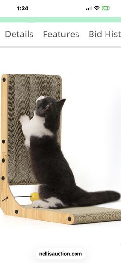 Cat Scratcher