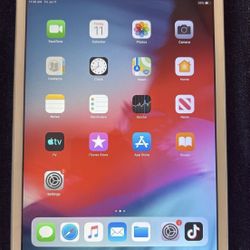 iPad mini 2 