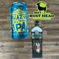 Alcohol Advertisement 