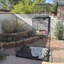Dog Kennels 