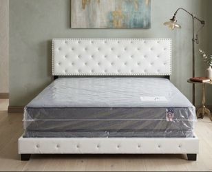 brand new queen plush + free box spring as a gift