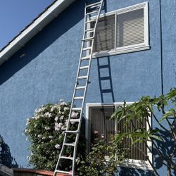 Ladder Multi 21”