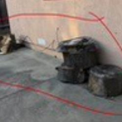 Free Wood/stumps