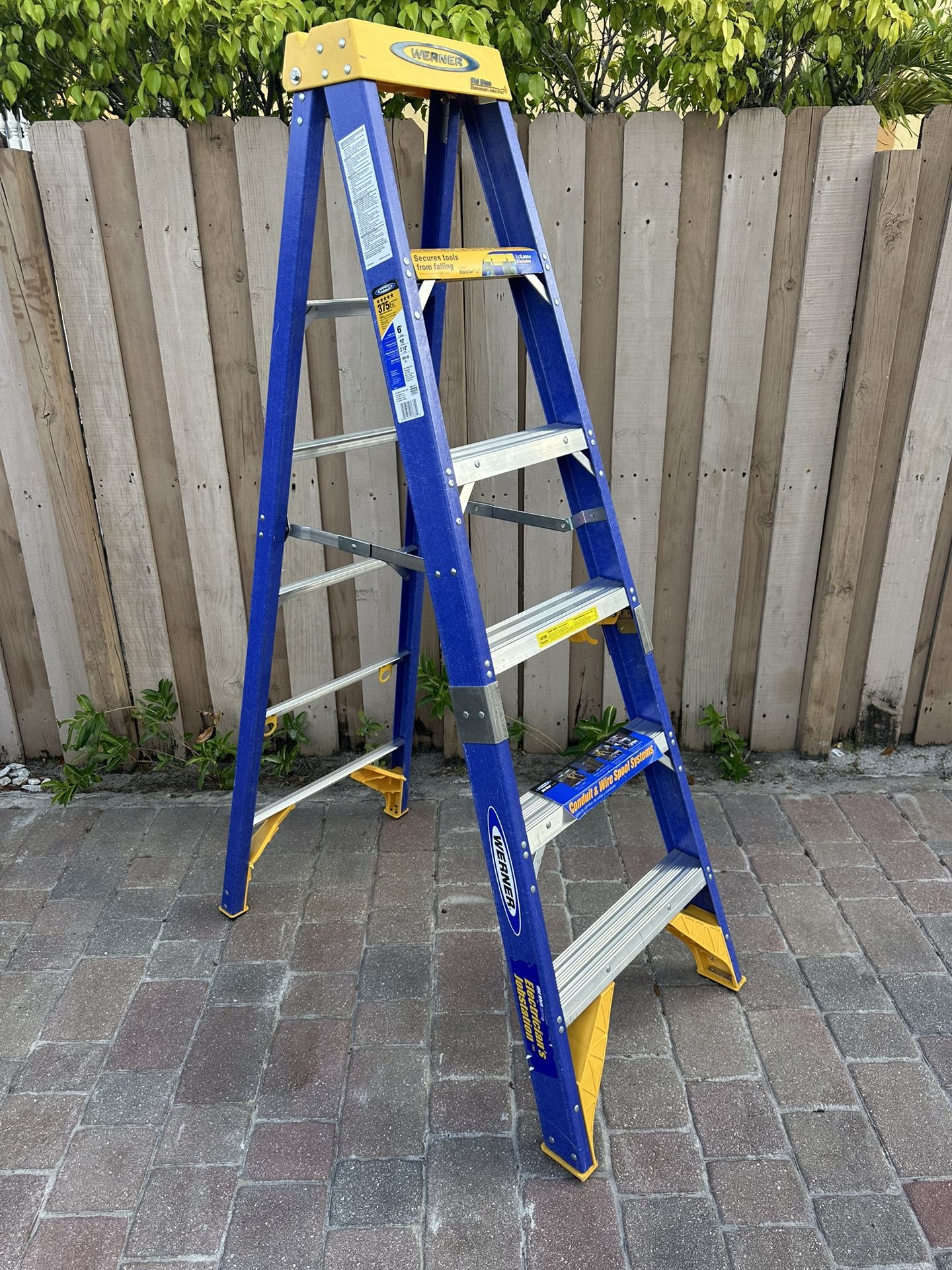 Werner 6 Foot Ladder