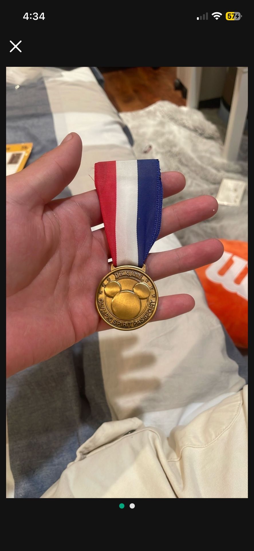 Disneyland Olympic Spirit Passport