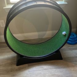 Caminadora Para Gatos 