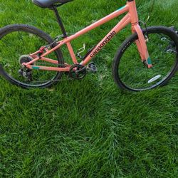 Carbondale bike 24 inch