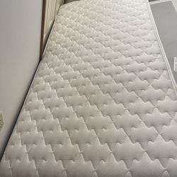 2 Sets Of Twin Mattresses And Box Spring  
