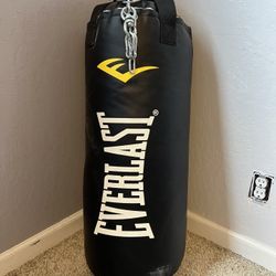 Everlast Punching Bag